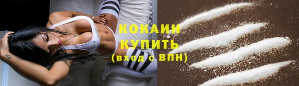 мдпв Богданович