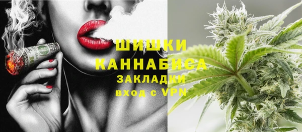 мдпв Богданович