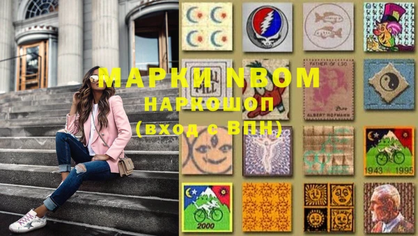 мдпв Богданович